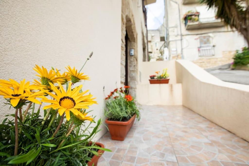 Apartament La Domus Di Segesta "Smart Solution" Calatafimi Zewnętrze zdjęcie